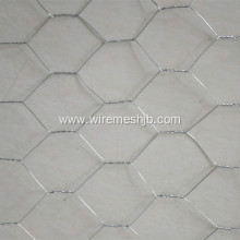 Hot-dip Galvanized Hexagonal Wire Netting